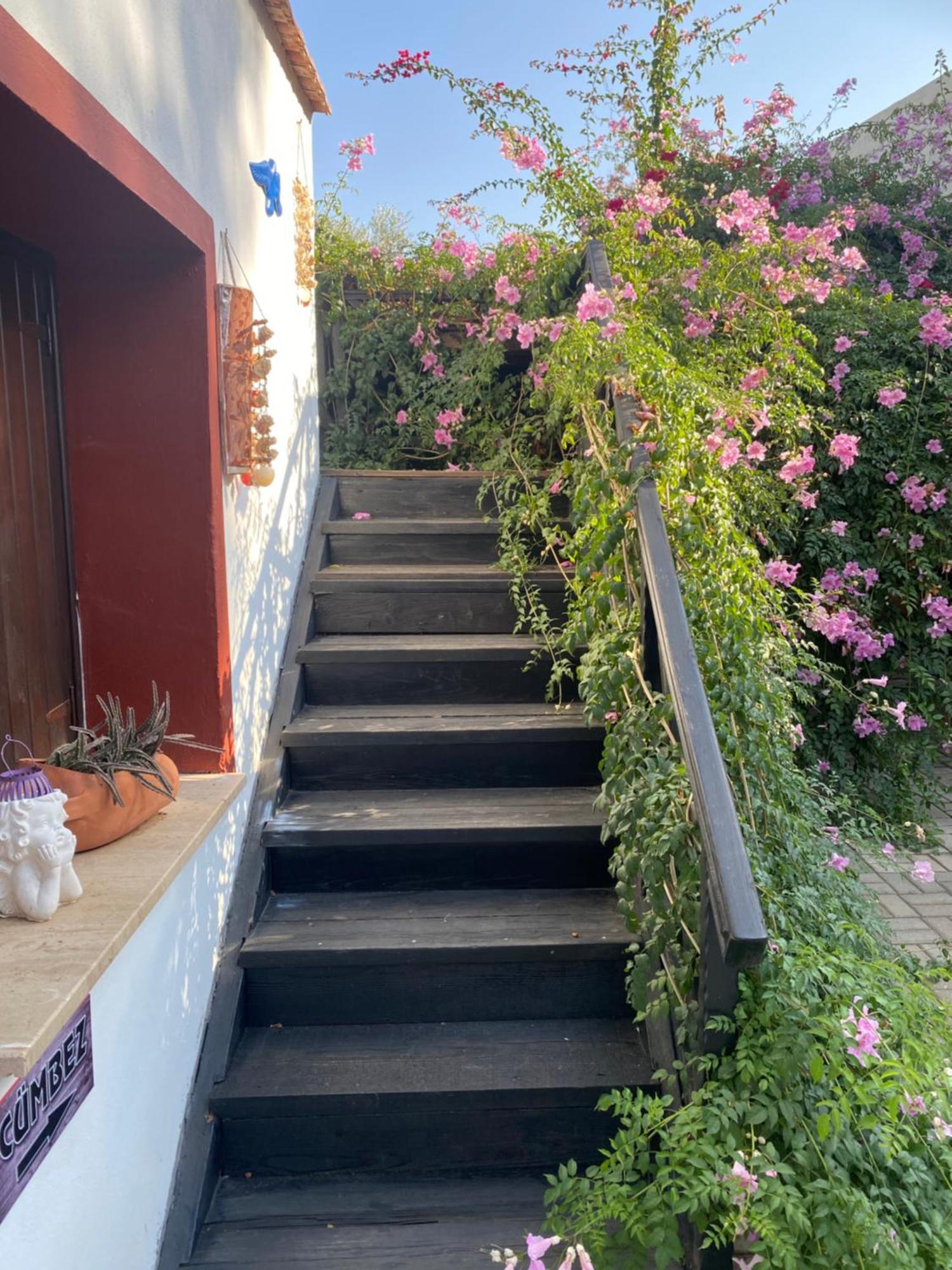 פמגוסטה Betul Guest House מראה חיצוני תמונה