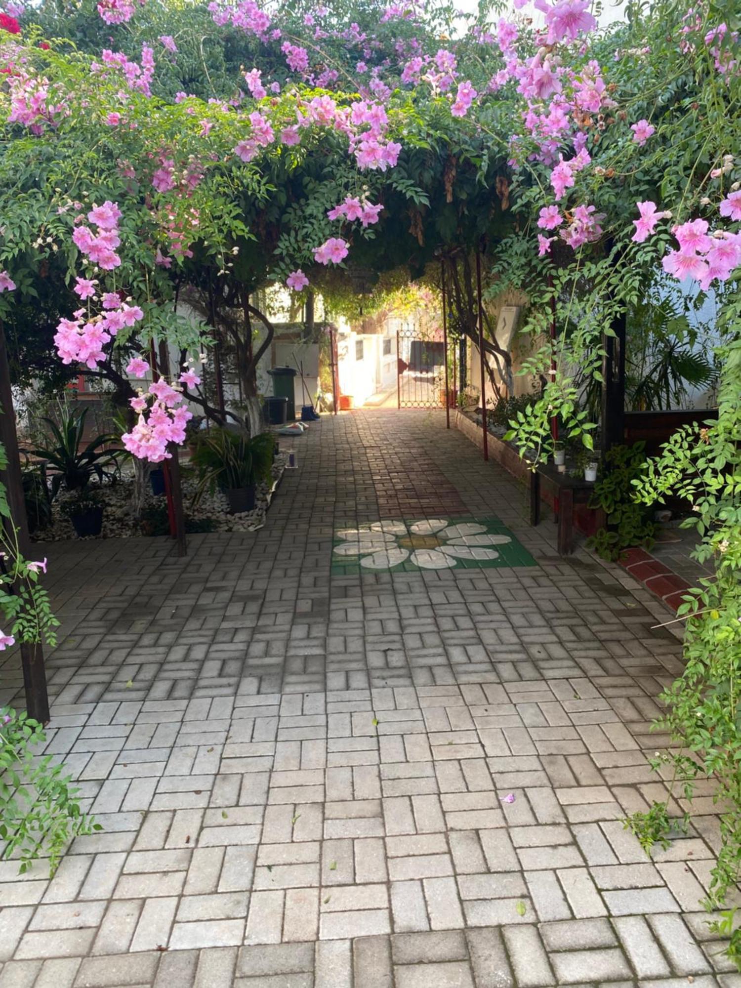 פמגוסטה Betul Guest House מראה חיצוני תמונה